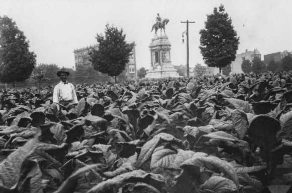 Robert E. Lee Statue In Tobacco Field