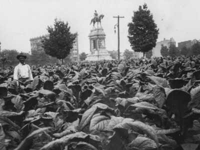 Robert E. Lee Statue In Tobacco Field