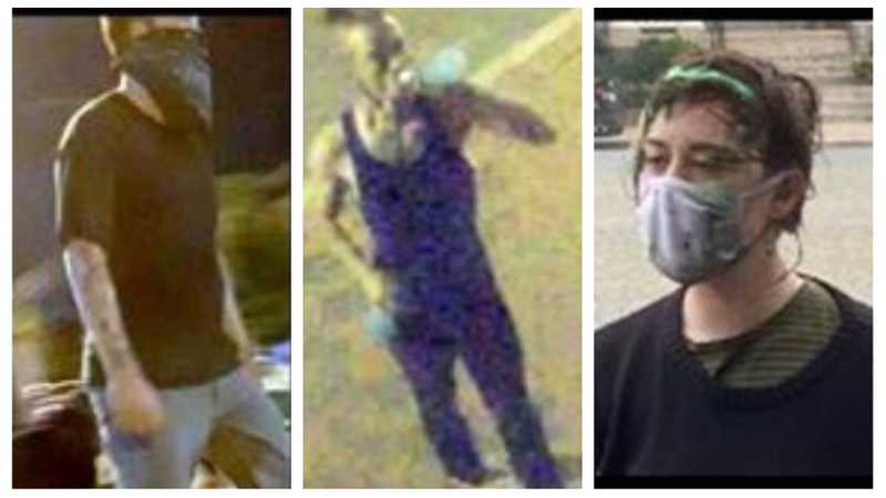 Suspects in vandalism and arson